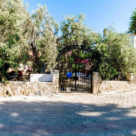 Bed and breakfast Eucalyptus 2*