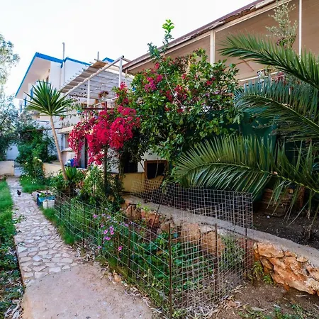 Eucalyptus 3* Πάταρα