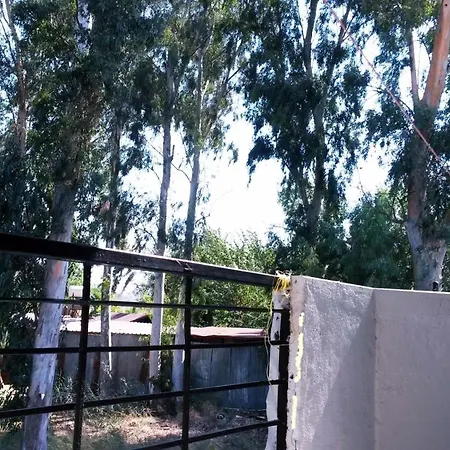 Bed and Breakfast Eucalyptus