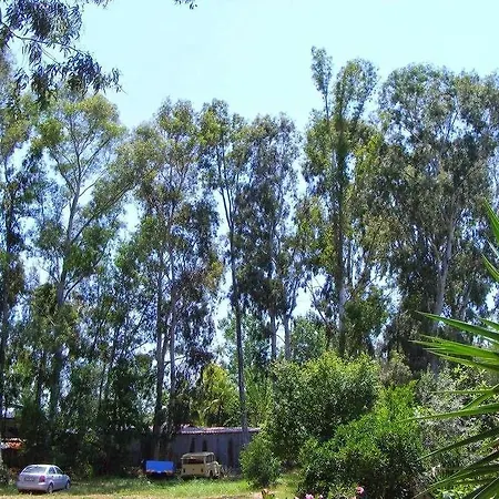 Bed and breakfast Eucalyptus Patara