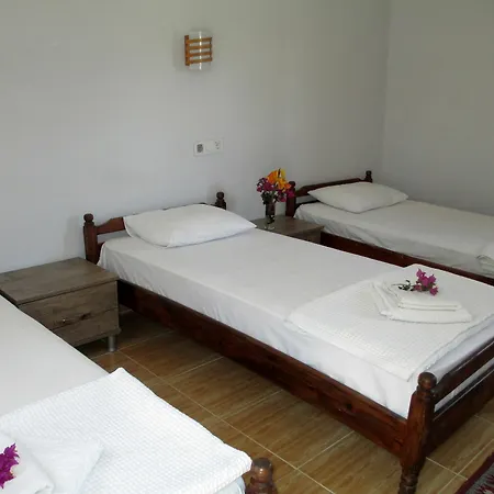 Bed and breakfast Eucalyptus 2*