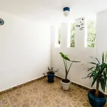 Eucalyptus 3*