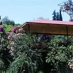 Bed & Breakfast Eucalyptus 3*