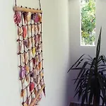 Eucalyptus