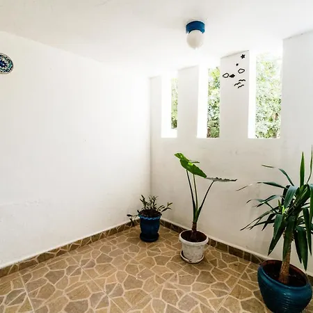 Eucalyptus 3*