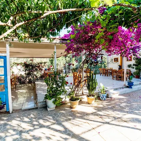 Eucalyptus باتارا