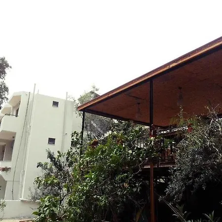 فندق مبيت وإفطار Eucalyptus باتارا