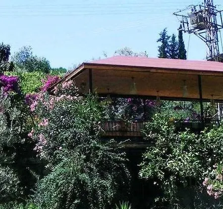 Bed & Breakfast Eucalyptus 2*