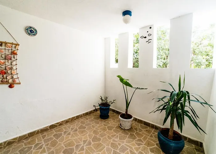 Eucalyptus 3*