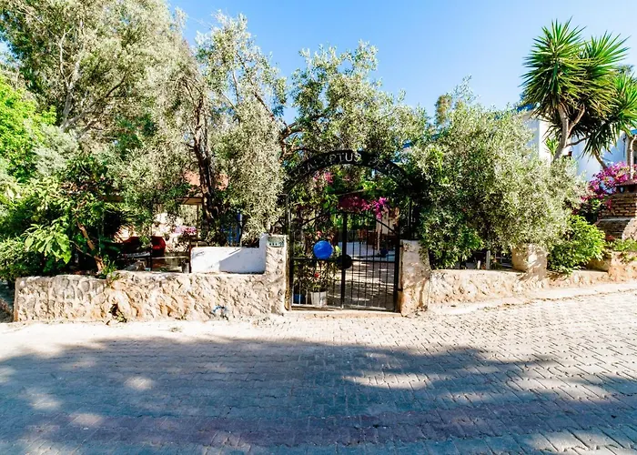 Bed & Breakfast Eucalyptus 3*