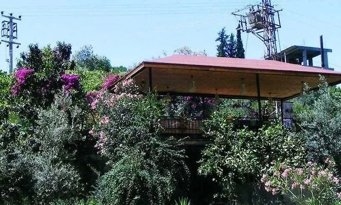 Bed & Breakfast Eucalyptus 3*
