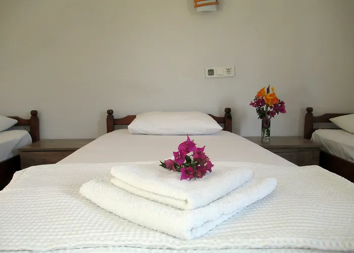 Eucalyptus 3* Patara