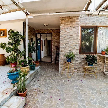 Eucalyptus 3*