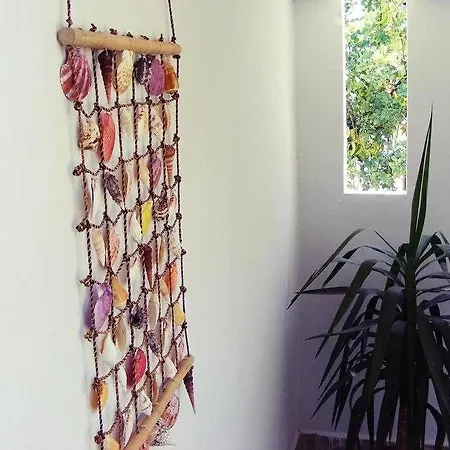 Eucalyptus
