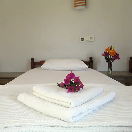 Eucalyptus 3* Patara