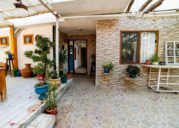 Eucalyptus 3*
