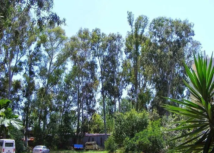 فندق مبيت وإفطار Eucalyptus باتارا